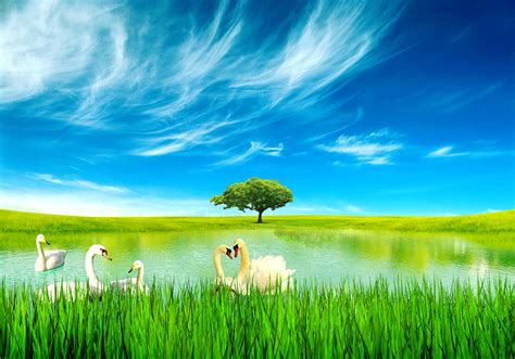 psd free download background